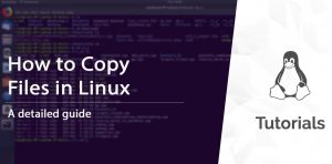 The Linux CP Command: A Guide to Copying Files in Linux