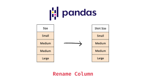 Renaming a Column in Pandas: A Guide to Changing Column Names in a DataFrame